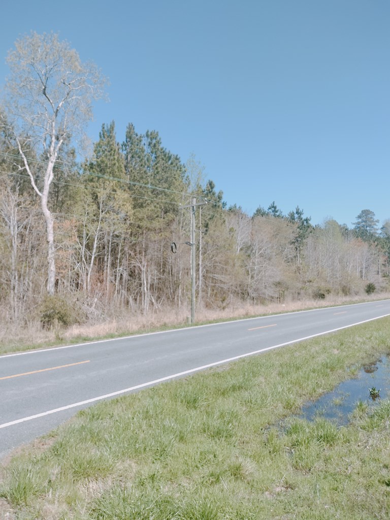 Mears Station Rd #N/A, Bloxom, Virginia image 2