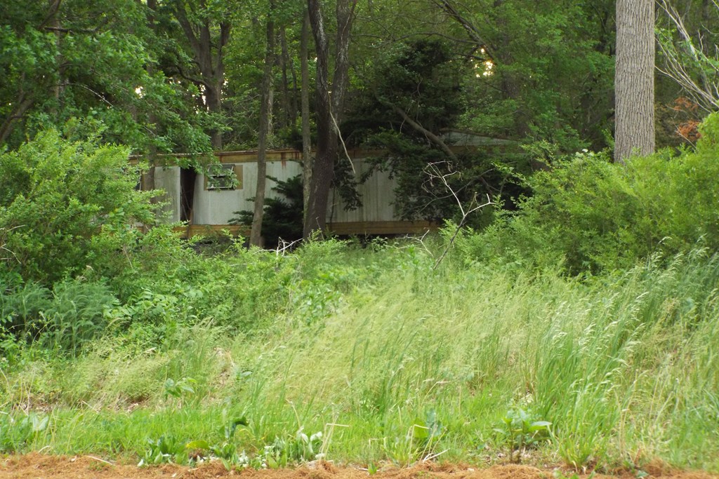 Lot 167A Sand St #167A, Temperanceville, Virginia image 8