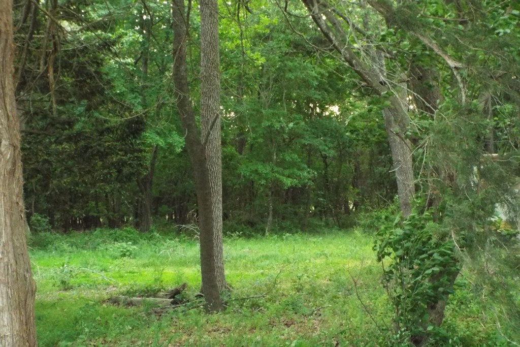 Lot 167A Sand St #167A, Temperanceville, Virginia image 6