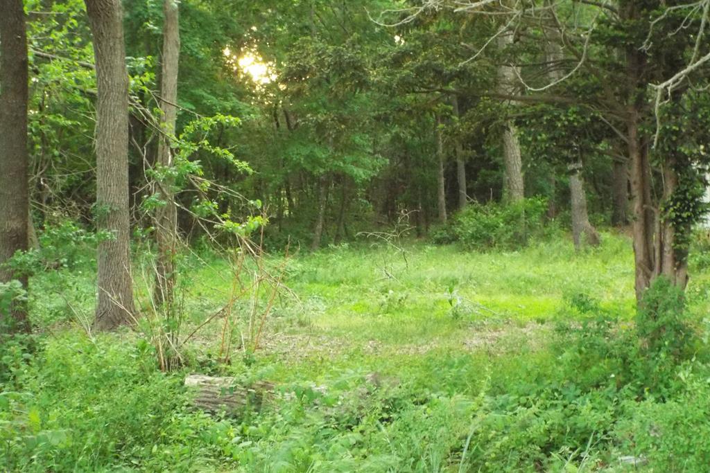 Lot 167A Sand St #167A, Temperanceville, Virginia image 2