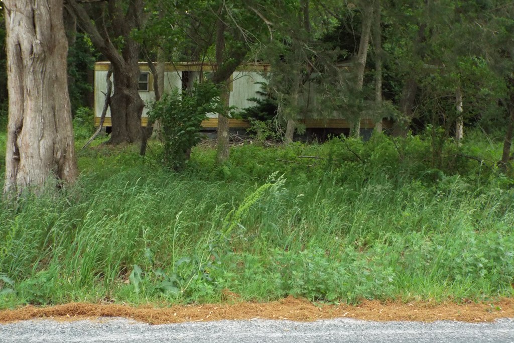 Lot 167A Sand St #167A, Temperanceville, Virginia image 3