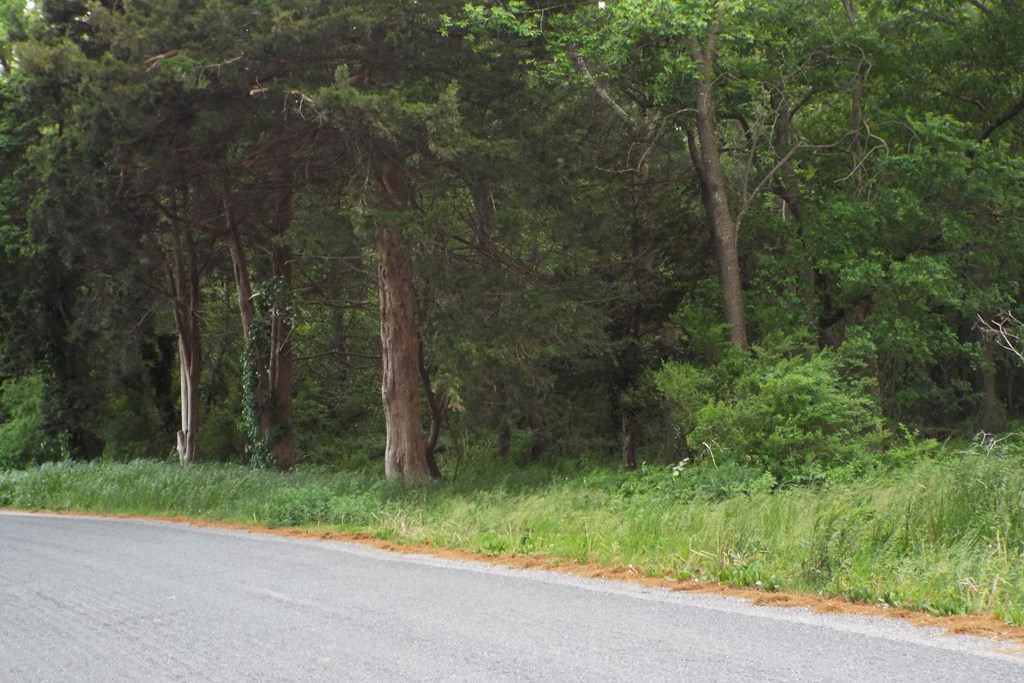Lot 167A Sand St #167A, Temperanceville, Virginia image 9