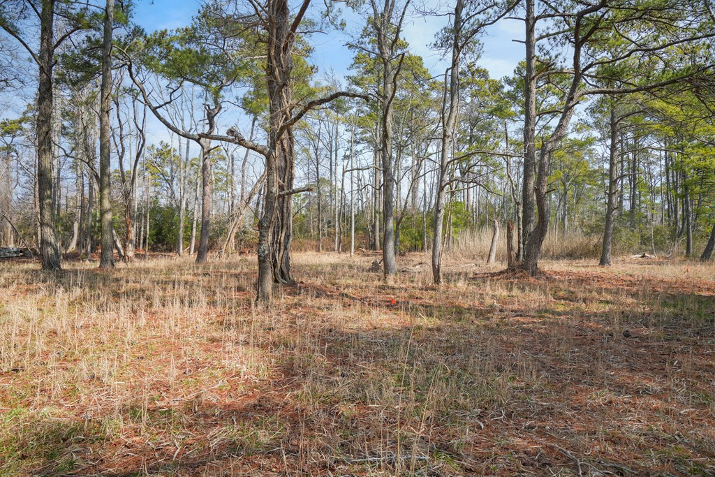 Lot 14A Howard Drive #700, Chincoteague, Virginia image 6