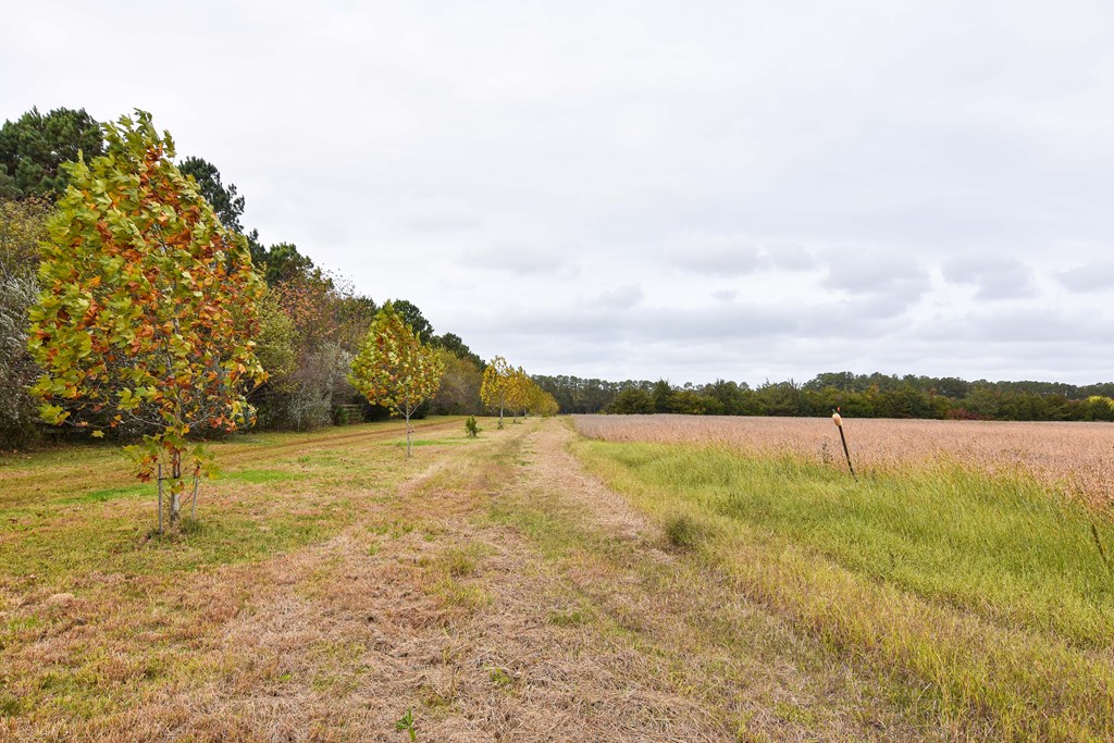 Lot 1A Bellevue Cir #1A, Accomac, Virginia image 6