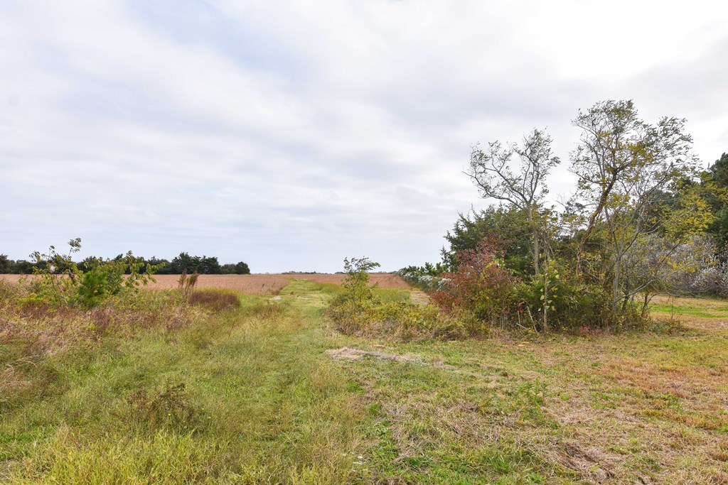 Lot 1A Bellevue Cir #1A, Accomac, Virginia image 12