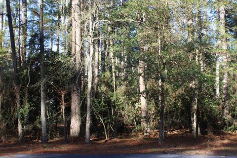 Vacant Land For Sale - 540 Skipper Ct #540<br/> Accomack County, Greenbackville, VA 23356