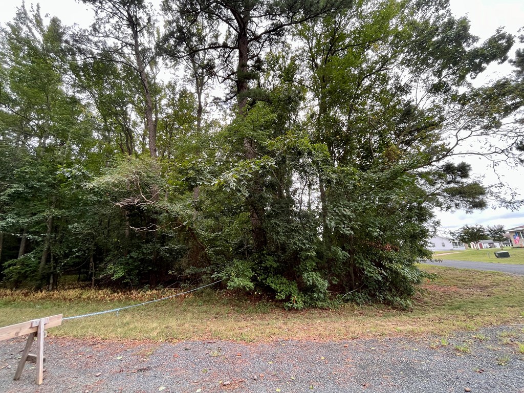 Lot 128 Octopus #128, Greenbackville, Virginia image 6