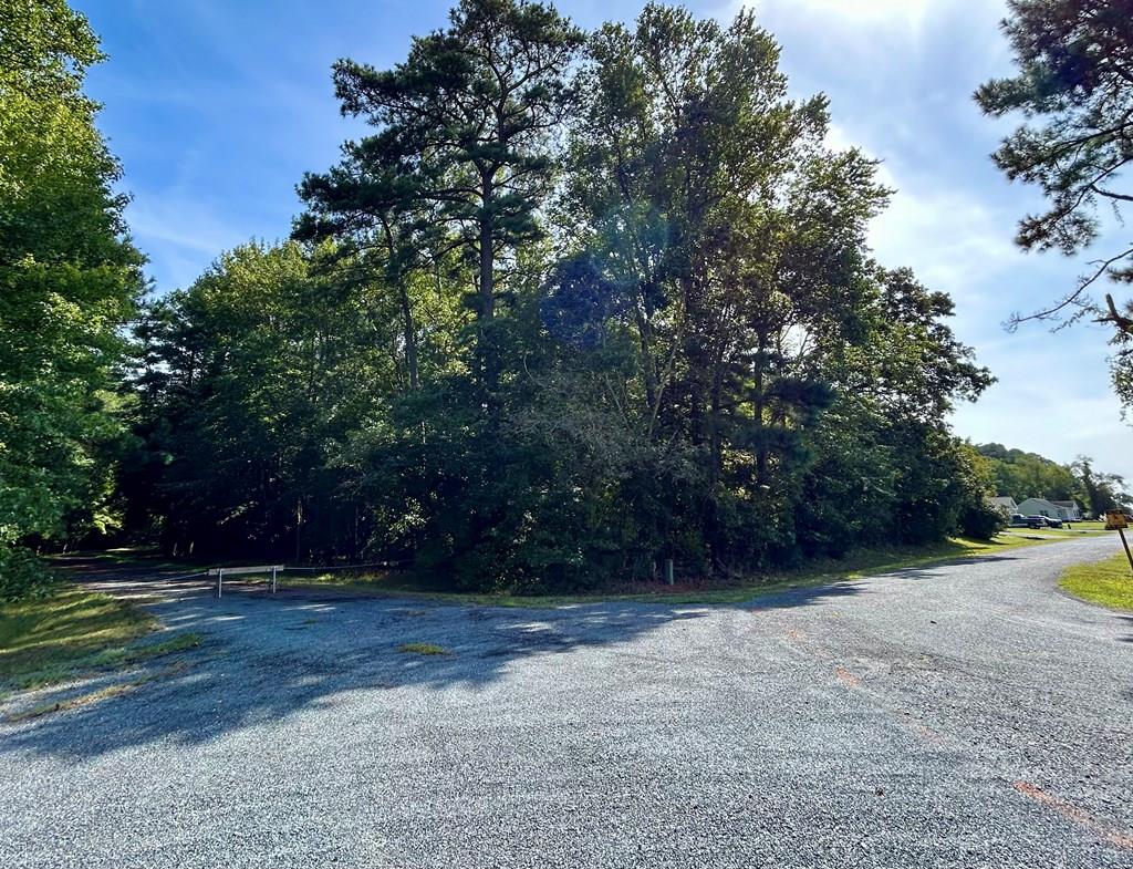 Lot 128 Octopus #128, Greenbackville, Virginia image 1