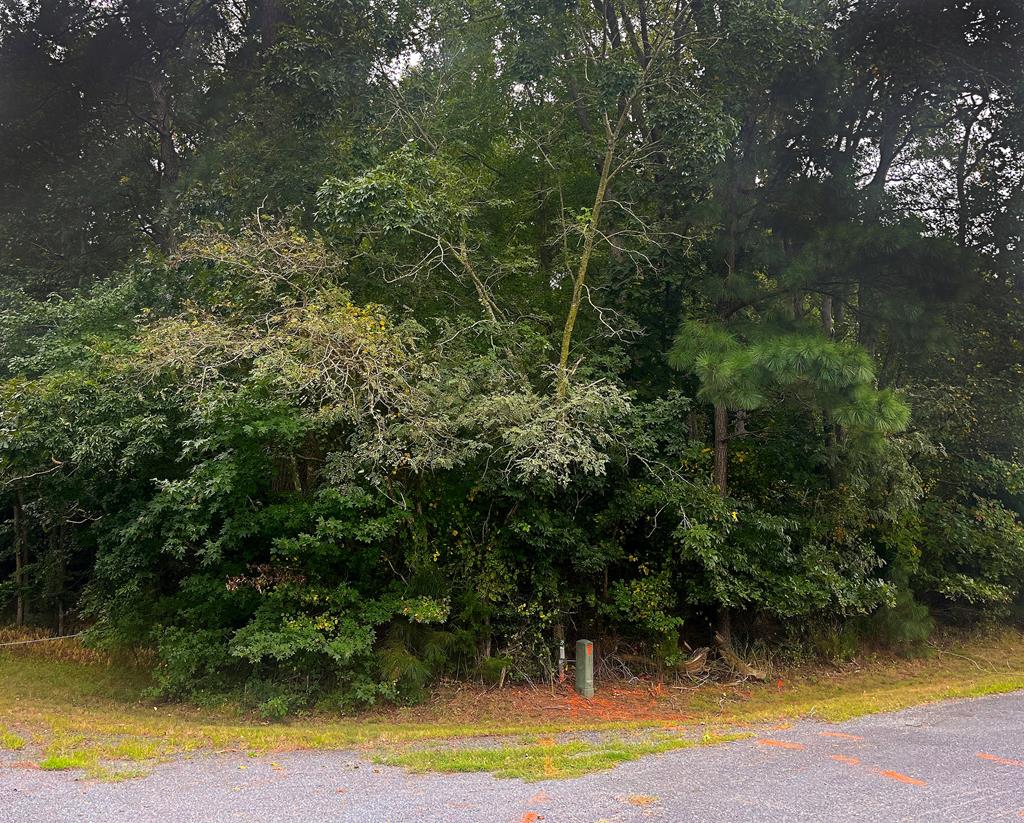 Lot 128 Octopus #128, Greenbackville, Virginia image 7