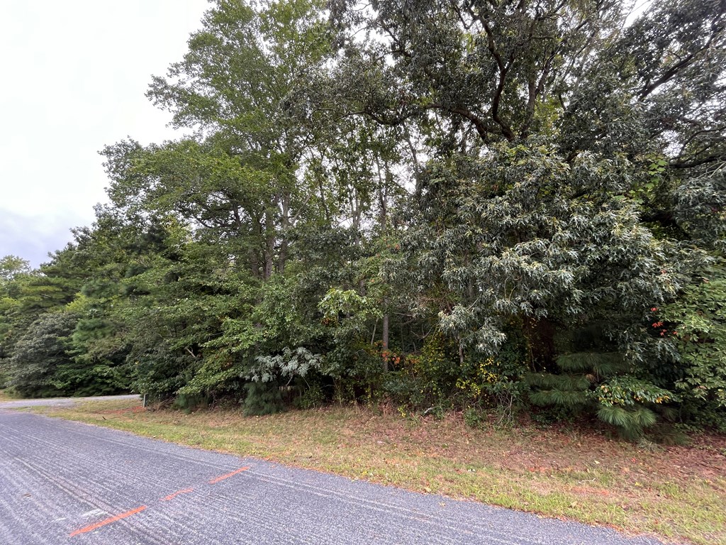 Lot 128 Octopus #128, Greenbackville, Virginia image 5