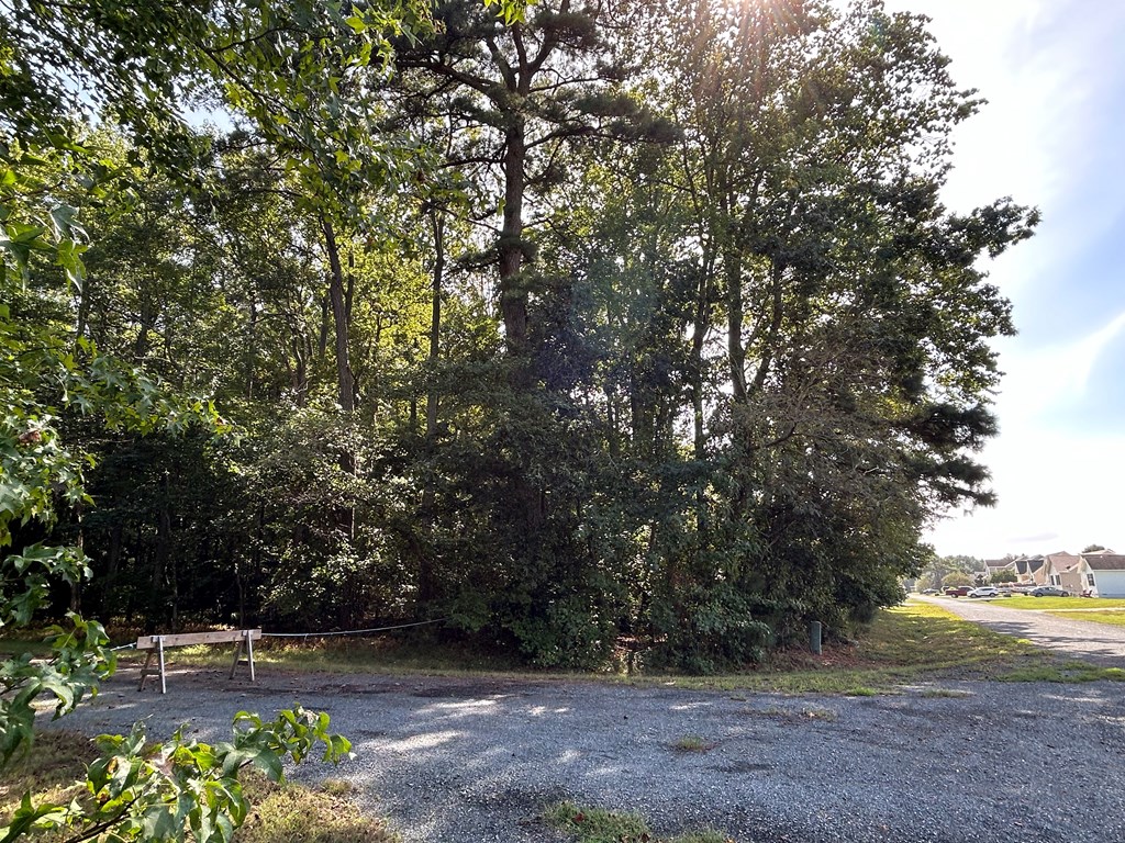 Lot 128 Octopus #128, Greenbackville, Virginia image 8