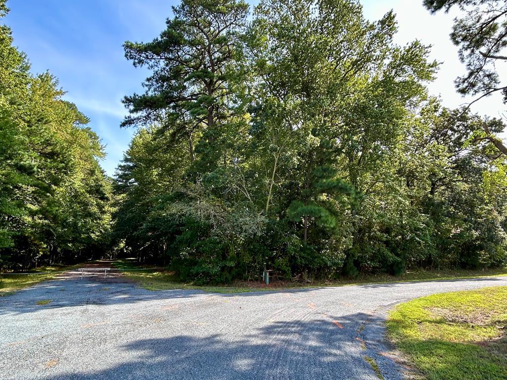 Lot 128 Octopus #128, Greenbackville, Virginia image 3