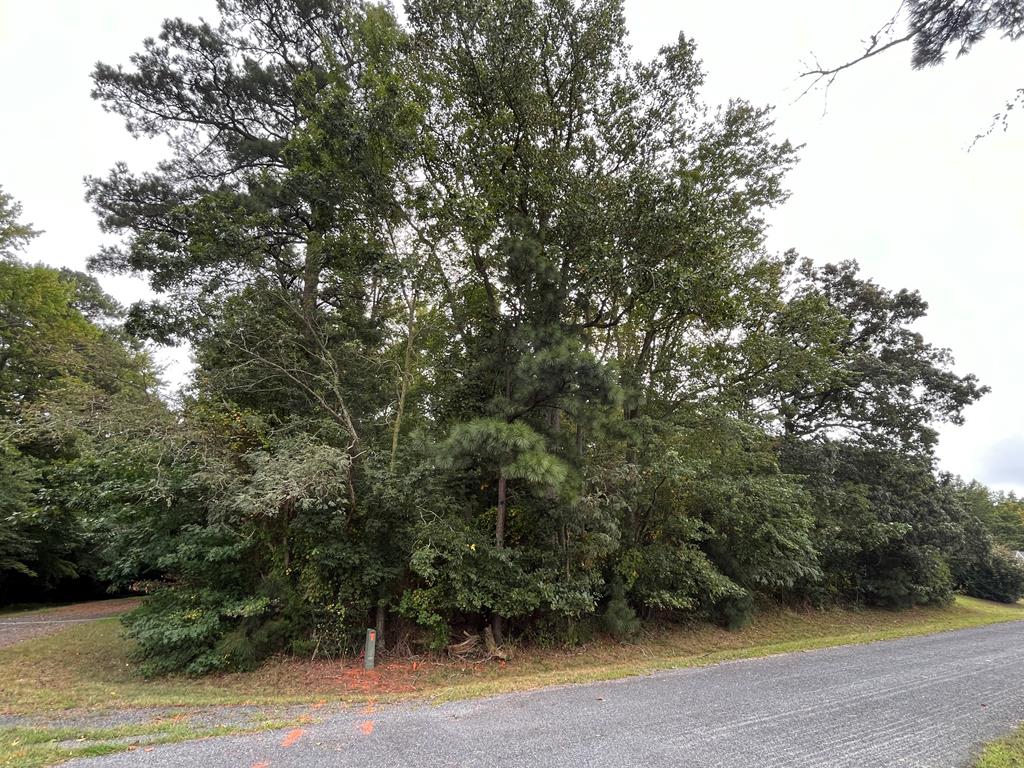 Lot 128 Octopus #128, Greenbackville, Virginia image 9