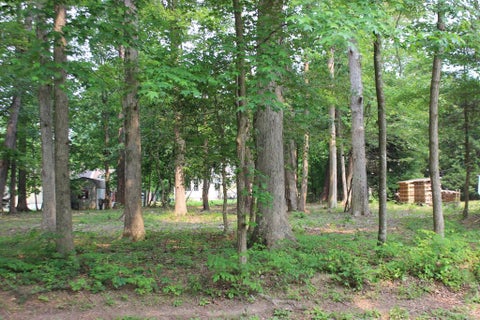 Vacant Land For Sale - 1992 Mayflower Dr #1992<br/> Greenbackville, VA 23356
