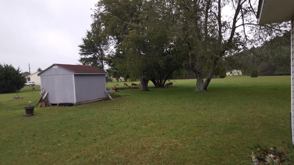 2561 Captains Corridor, Greenbackville, Virginia image 31