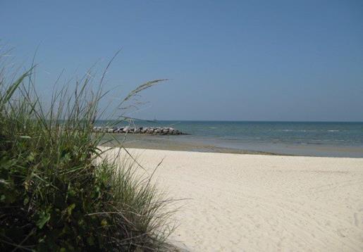 00 Burford Ct #110, Cape Charles, Virginia image 6