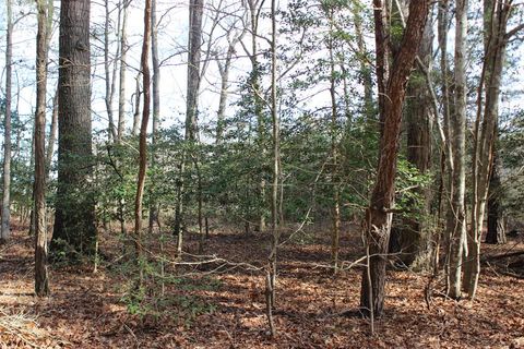 Vacant Land For Sale - 151 Shanghai Rd #151<br/> Accomack County, Greenbackville, VA 23356