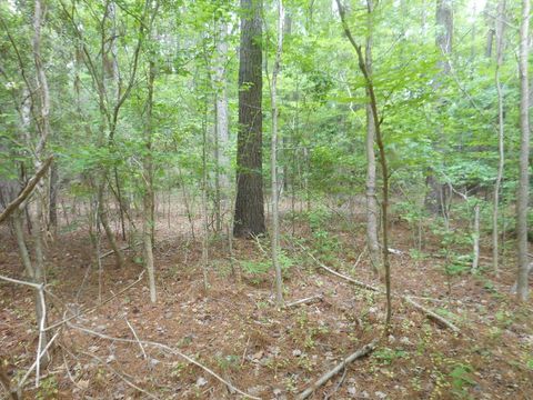 Vacant Land For Sale - LOT 21 Yeo Neck Run #21<br/> Accomack County, Melfa, VA 23410