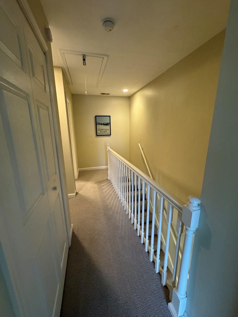 6159 Marsh Island Dr, Chincoteague, Virginia image 19