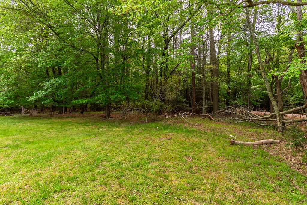 2415 Octopus Rd, Greenbackville, Virginia image 3