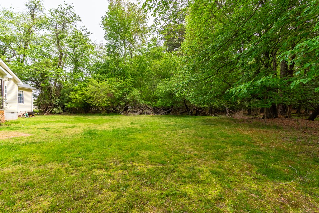 2415 Octopus Rd, Greenbackville, Virginia image 5