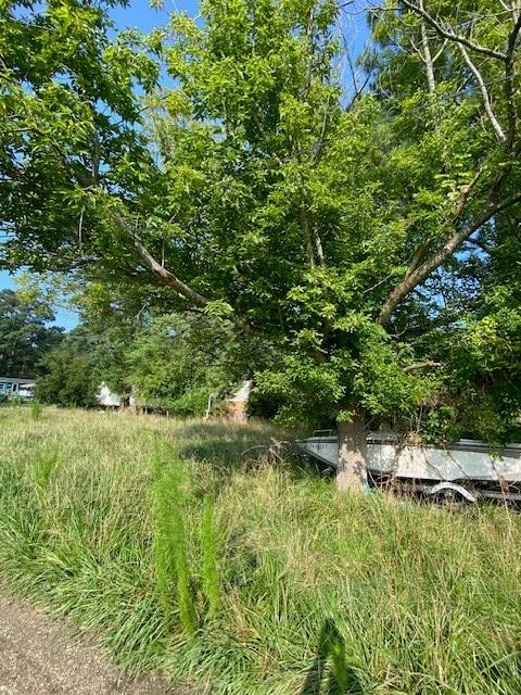8430 Sugarhill Ln, Sanford, Virginia image 5