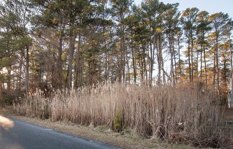 Vacant Land For Sale - LOT 429 Captains Corridor #429<br/> Accomack County, Greenbackville, VA 23356