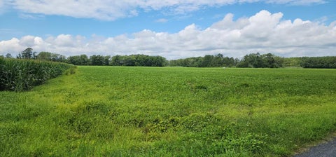 Vacant Land For Sale - . Bullbeggar Rd #0021<br/> Withams, VA 23488