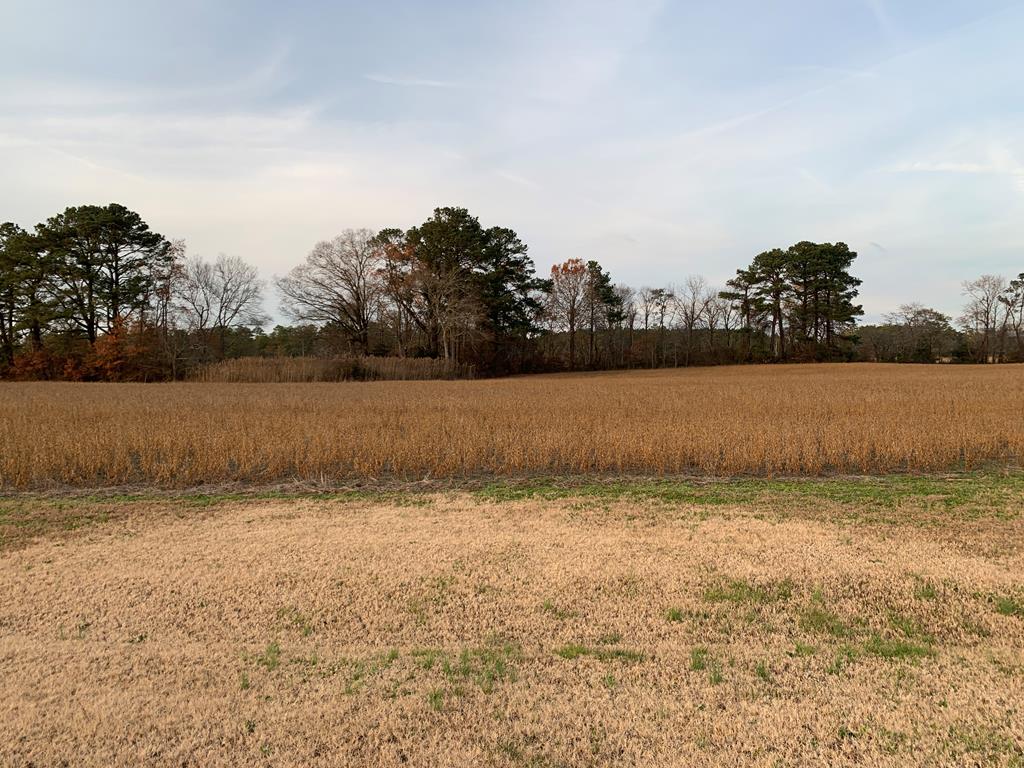 Lot 3 Waterside Dr #3, New Church, Virginia image 7