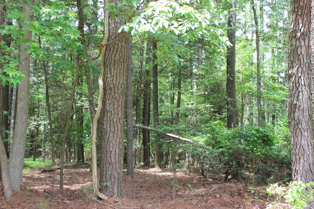 871 Broadside Dr #871, Greenbackville, Virginia image 1