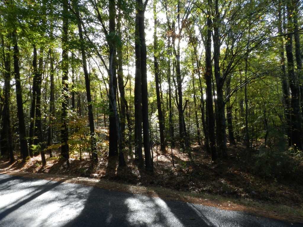 Lot E2 Battle Point Rd #E2, Jamesville, Virginia image 4