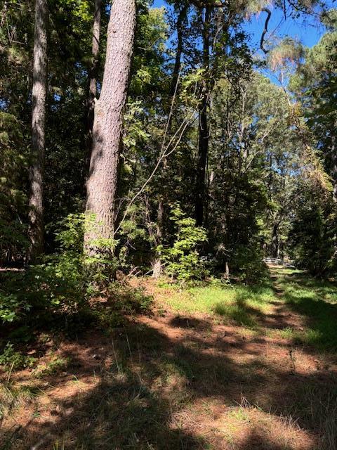 Lot A-4 White Tail Lane #A-4, Machipongo, Virginia image 13