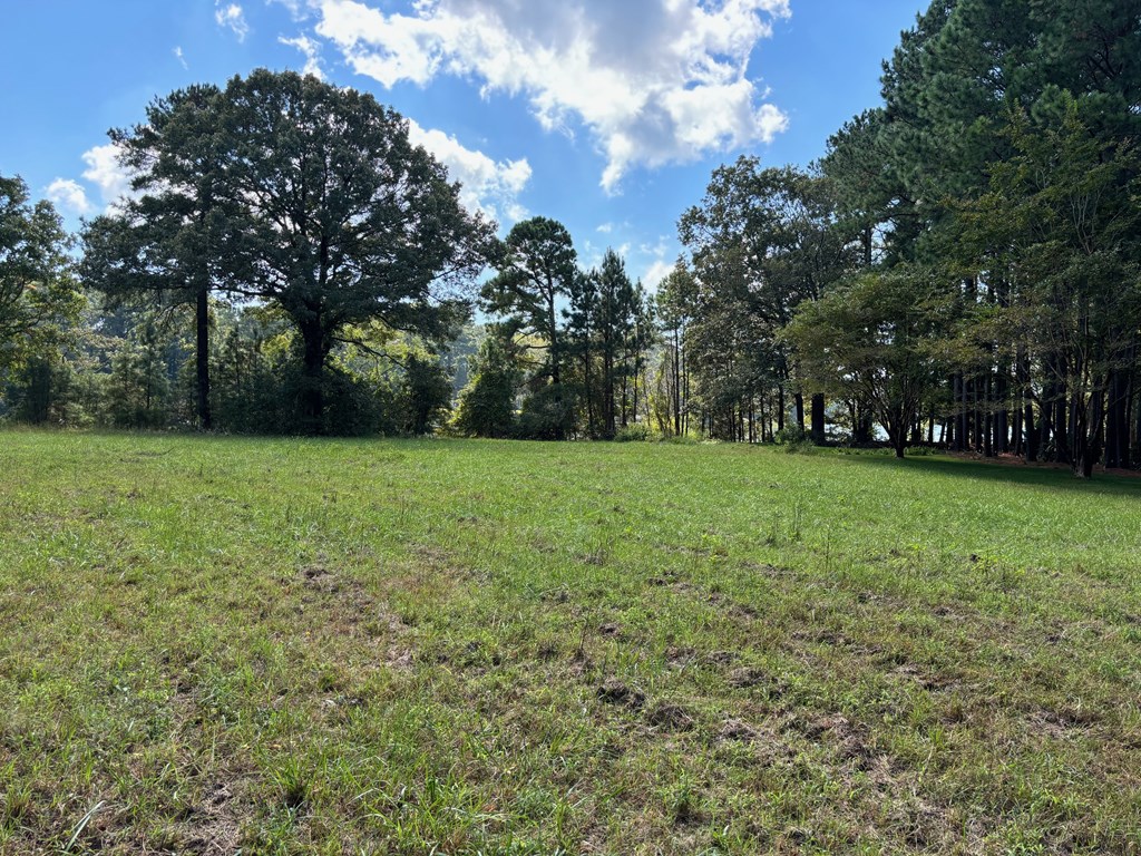 Lot A-4 White Tail Lane #A-4, Machipongo, Virginia image 4