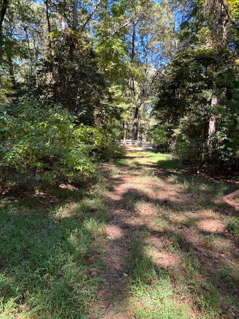 Lot A-4 White Tail Lane #A-4, Machipongo, Virginia image 12