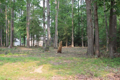 Vacant Land For Sale - 1984 Mayflower Dr #1984<br/> Greenbackville, VA 23356