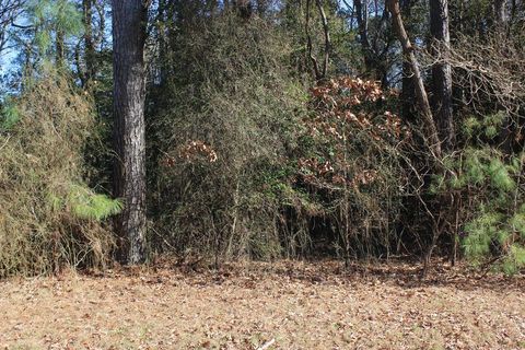 Vacant Land For Sale - LOT 20 Sandpiper Lane #20<br/> Accomack County, Atlantic, VA 23303