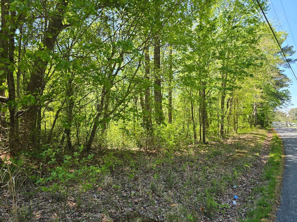 Winterville Rd, Bloxom, Virginia image 2