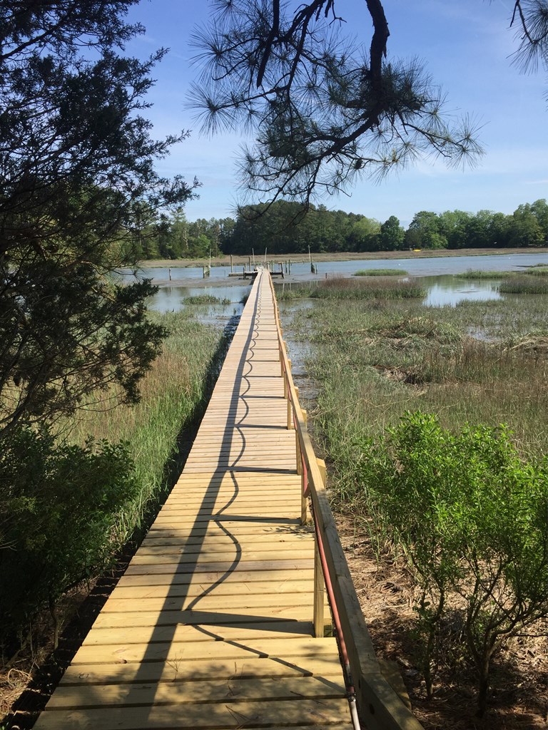 Lot 19 Folly Creek Club Ln #19, Accomac, Virginia image 3