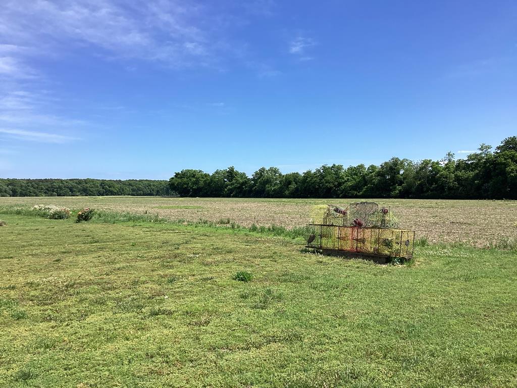 5024 Magotha Rd, Cape Charles, Virginia image 10