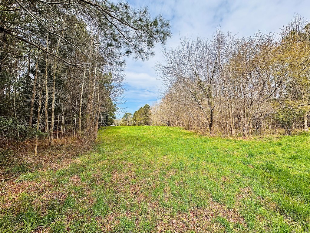 Lot 24 Peaceful Lakes Dr #24, Franktown, Virginia image 5