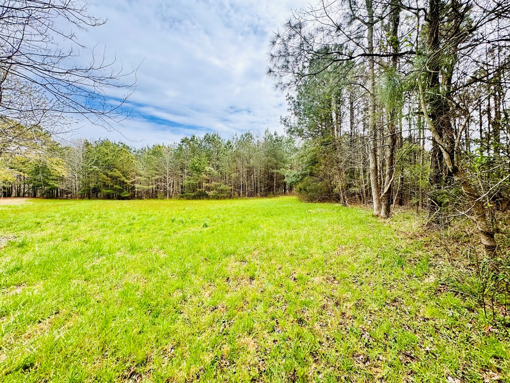 Lot 24 Peaceful Lakes Dr #24, Franktown, Virginia image 8