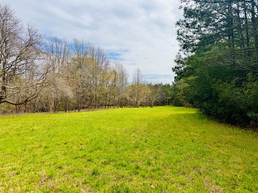Lot 24 Peaceful Lakes Dr #24, Franktown, Virginia image 11