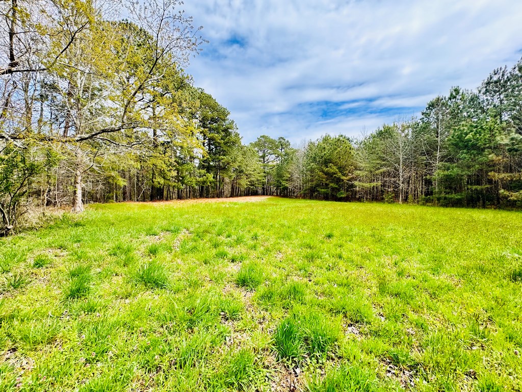 Lot 24 Peaceful Lakes Dr #24, Franktown, Virginia image 7