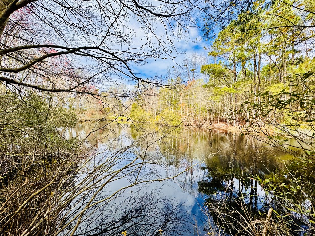 Lot 24 Peaceful Lakes Dr #24, Franktown, Virginia image 3