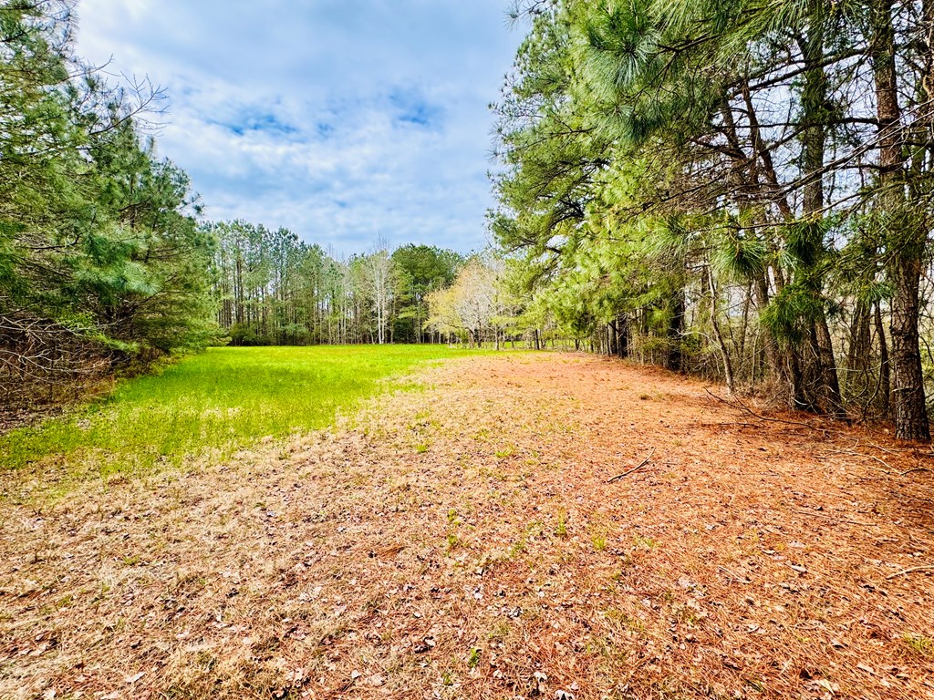 Lot 24 Peaceful Lakes Dr #24, Franktown, Virginia image 6