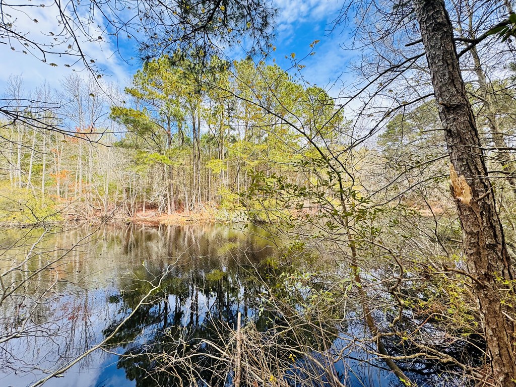 Lot 24 Peaceful Lakes Dr #24, Franktown, Virginia image 4