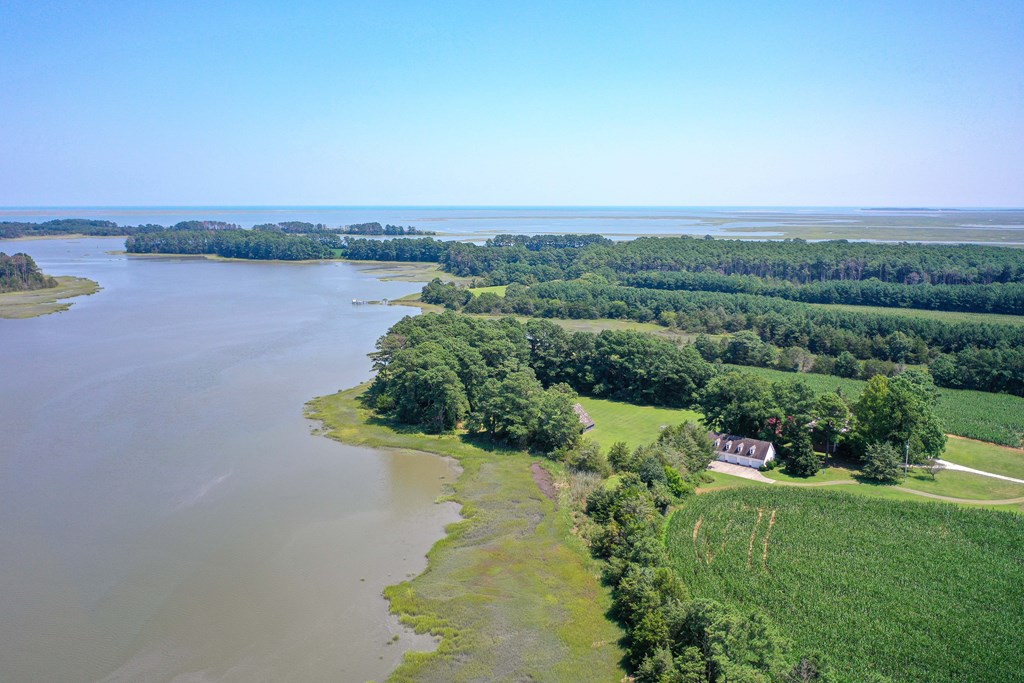 31181 Drummondtown Rd, Wachapreague, Virginia image 10