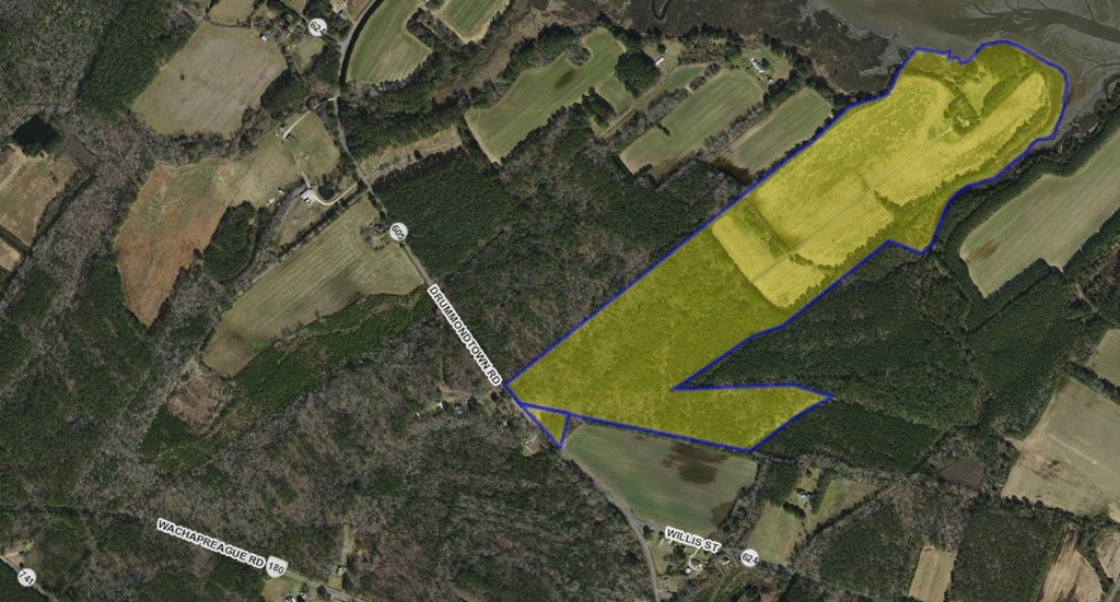 31181 Drummondtown Rd, Wachapreague, Virginia image 42