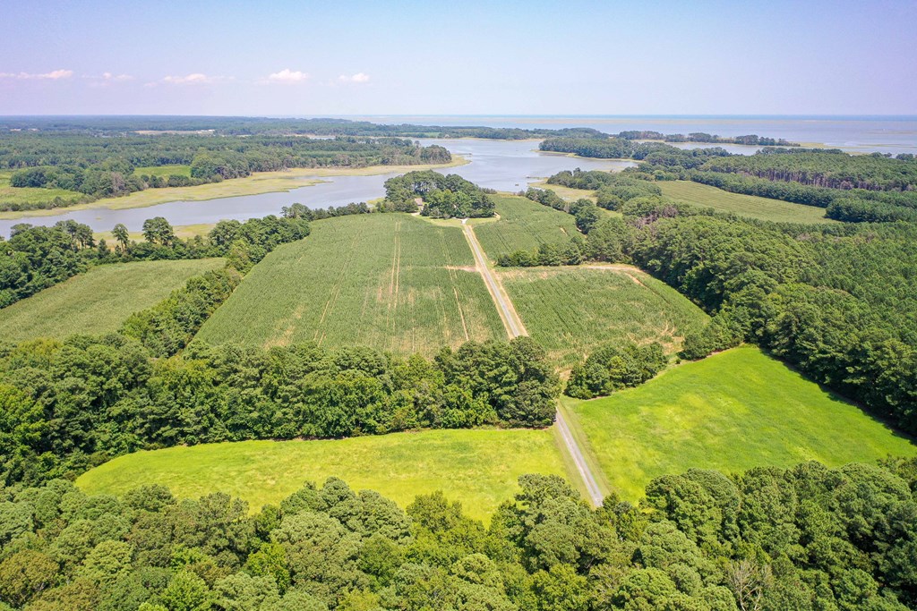 31181 Drummondtown Rd, Wachapreague, Virginia image 3