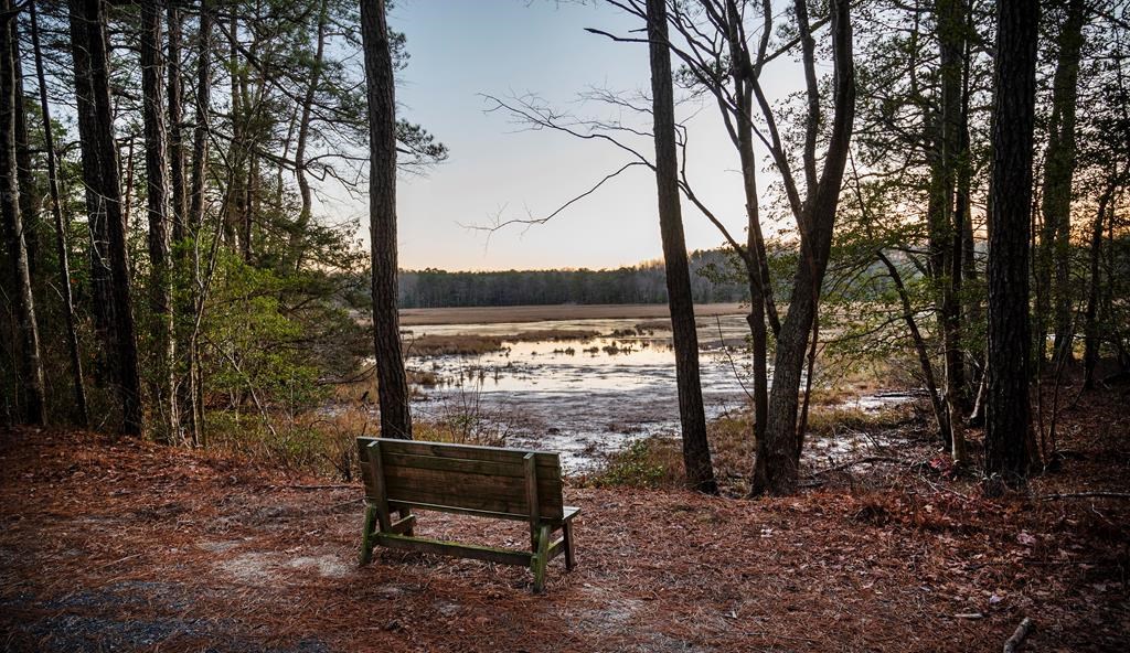 Lot 2061 Mayflower Dr, Greenbackville, Virginia image 13